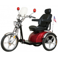 Electric Scooter 3 Wheel Roadpet Ginger Mypet Electric Scooter SW3300