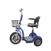 2021new rear wheel double motor drive 1000W48V Mobility Three Wheel  Electric Scooter YXEB-712